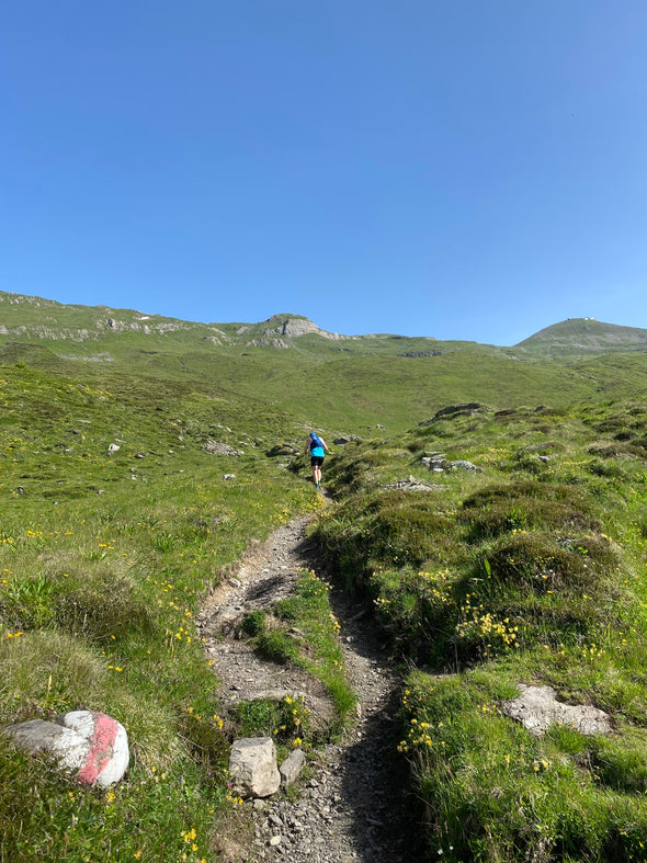 11. Marmota Eiger-Camp, 15.-18. Juni 2023 (7471579398308) (8279549083812)