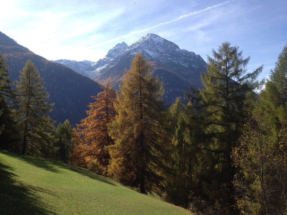 Trailrunning Camp Engadin 25. bis 27. 9. 2020 (4334691090489) (5775653798052) (7071045288100) (7478048882852)