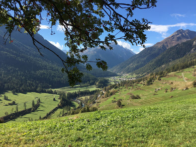 Trailrunning Camp Engadin 25. bis 27. 9. 2020 (4334691090489) (5775653798052) (7071045288100) (7478048882852)